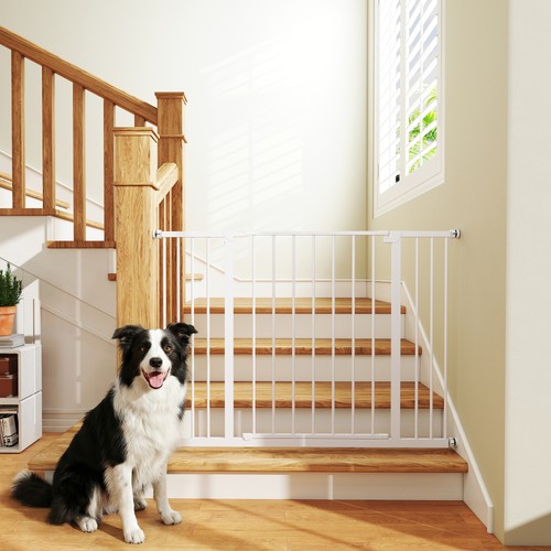 Pressure mount dog gate - dog,