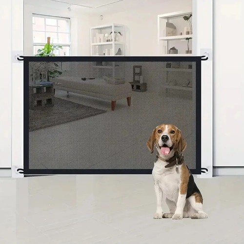 Large pet dog - baby, safety