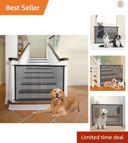 Versatile indoor dog - versatile,