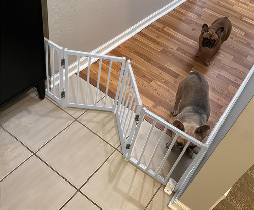 Bfnn free standing dog gate - standing,