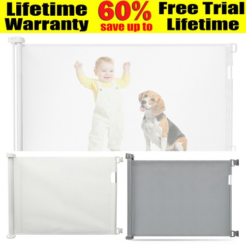 Retractable pet dog - dog, gate