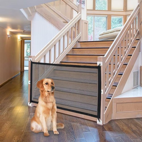 Magic dog gate - gate, stairs