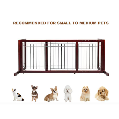 Adjustable free standing dog - adjustable,