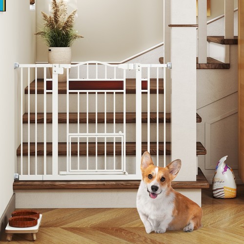 78cm tall metal expandable dog - metal,