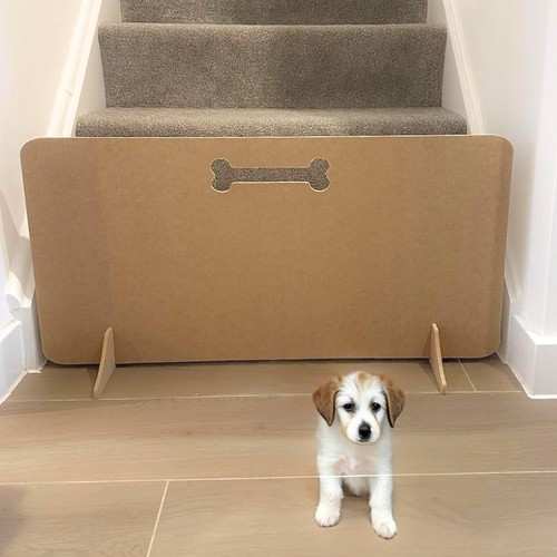Drill indoor pet - pet, barrier